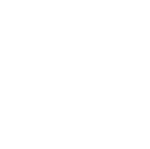 Logo Femsa